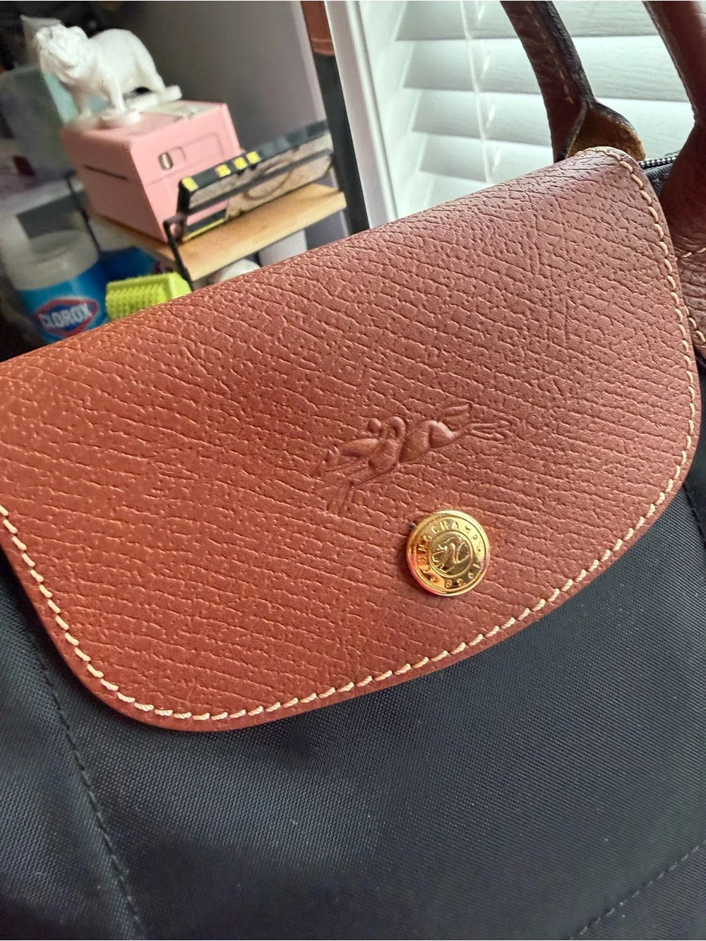 Longchamp reposhing this